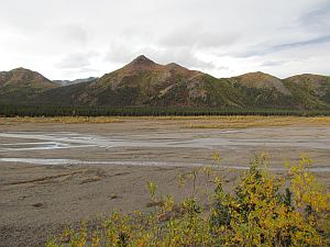 Teklanika River