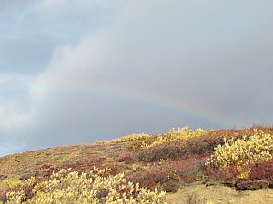 rainbow over mountain