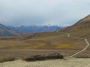 overlook for Denali