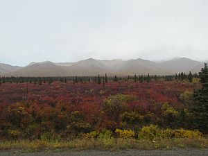 misty mountains