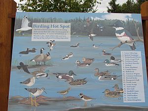 birding sign