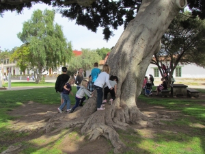 children playing