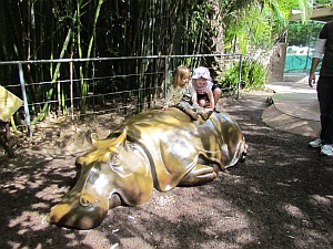 kids playing on hippo