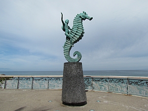 seahorse