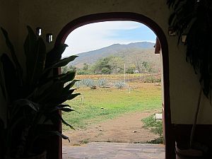 field behind building