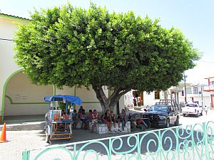 street scene