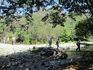 crossing stream