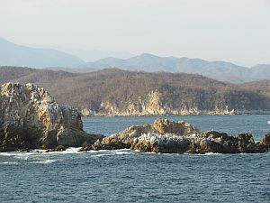 rocks in the water