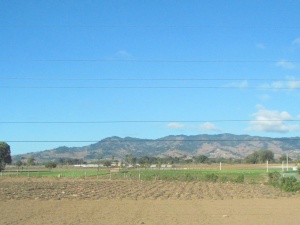 farmland