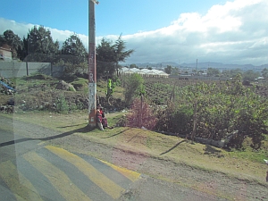 people waiting for bus