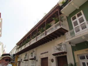 ferns on balcony