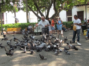 man & birds