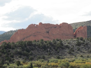 kissing camels
