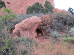 plants and rocks