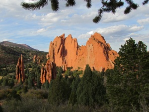 rocks & trees