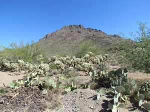 desert mountain