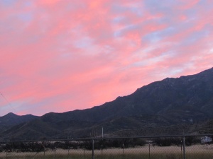 pink clouds