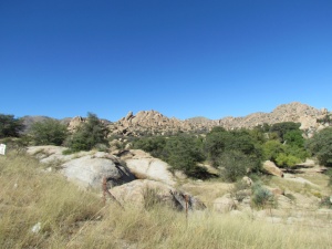 rocks & vegetation