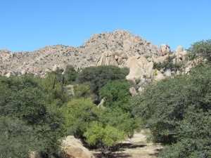 mountain & trees