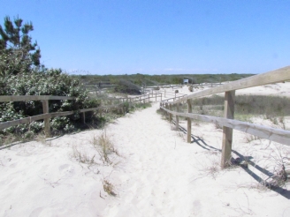 trail at end of road