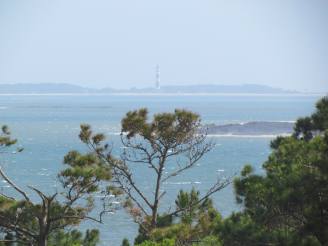 view from museum