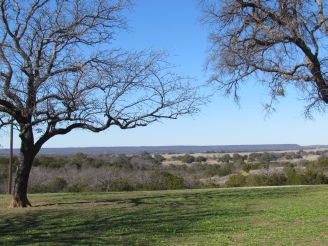 Trees and scenery