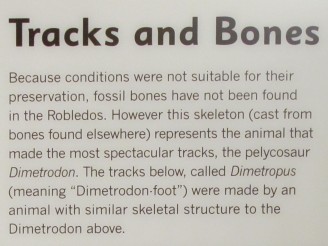 tracks and bones