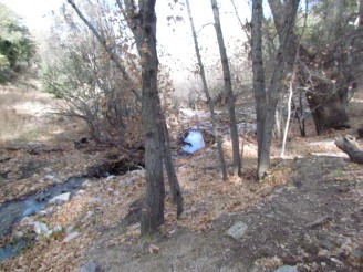 stream and trail