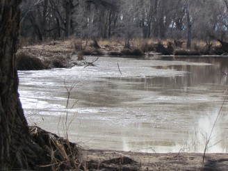 icy pond