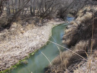 San Pedro River