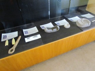 display case