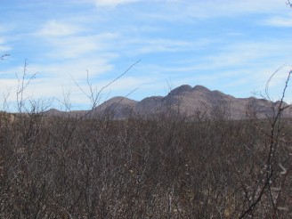 mountain