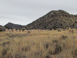 View of ruins