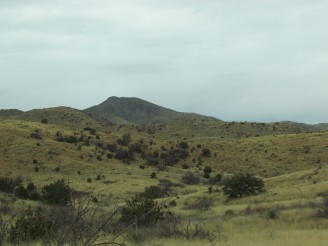 green fields