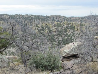 rocks and trees