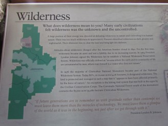 Wilderness